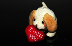 Missing You Messages For Wife