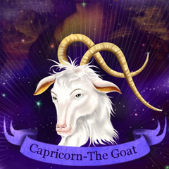 Zodiac Capricorn