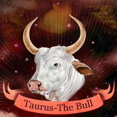 Zodiac Taurus