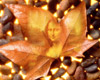 Autumn Leaf