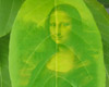Beautiful Green Leaf