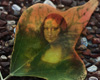 Fallen Tree Leaf