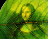 Green Leaf