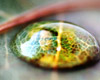 Inside A Water Drop