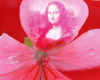 Pink Flower