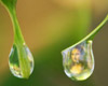 Water Drop