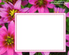 Beautiful Flowers
