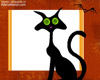 Cat & Bat