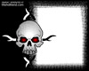 skull