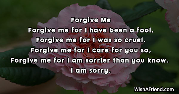Forgive Me, Sorry Poem