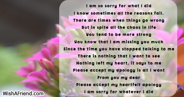 I am so sorry for what I did, Sorry Poem