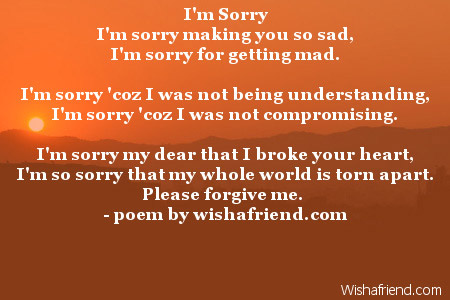 I'm Sorry, Sorry Poem