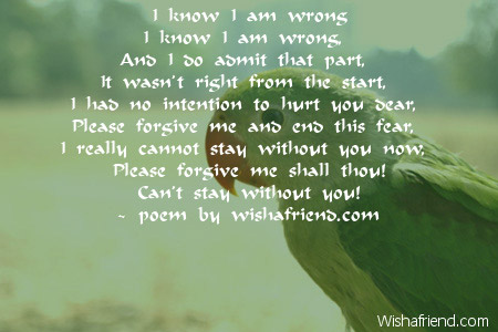 I know I am wrong, Sorry Poem For Her