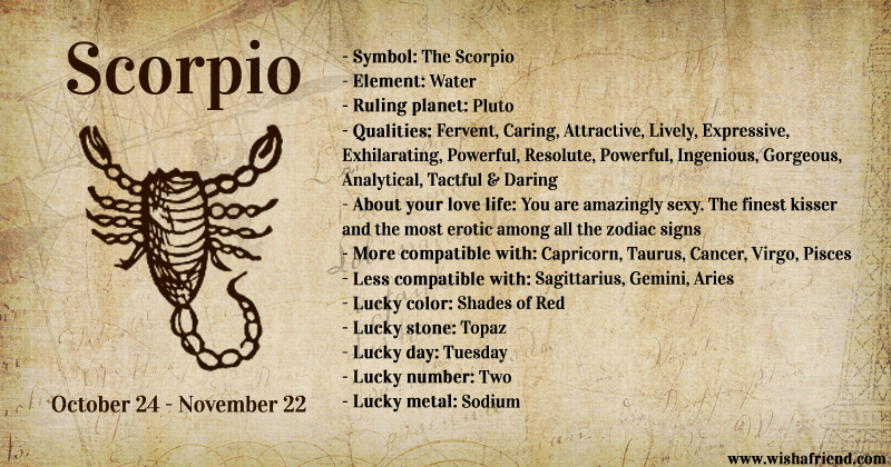 Your Zodiac Profile- Scorpio