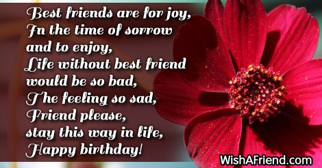 best-friend-birthday-sayings-10695
