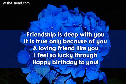 12167-friends-birthday-sayings