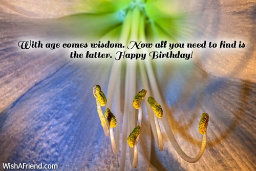 1336-humorous-birthday-wishes