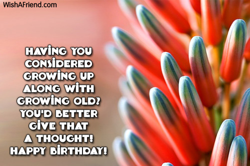 1340-humorous-birthday-wishes