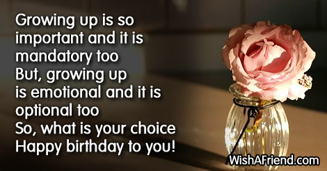 13745-funny-birthday-sayings