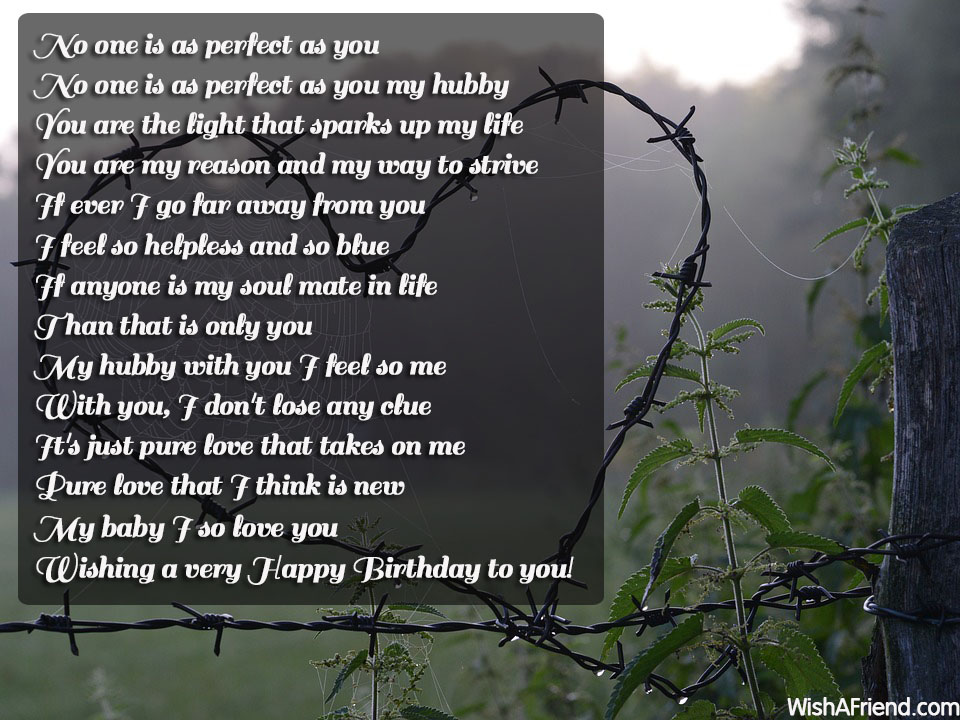 15159-husband-birthday-poems