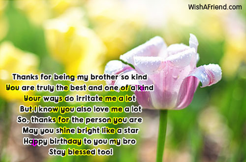 brother-birthday-messages-15200