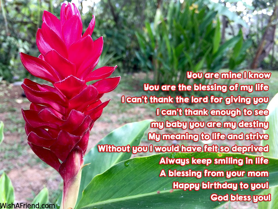 15605-son-birthday-poems