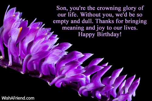 1620-son-birthday-messages