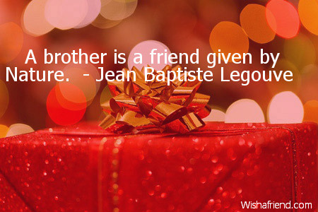 1778-birthday-quotes-for-brother