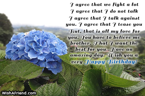 brother-birthday-wishes-21597