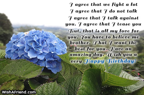 21597-brother-birthday-wishes