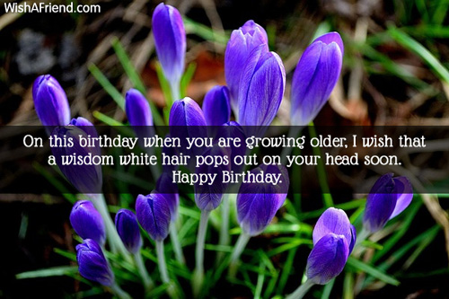 267-funny-birthday-messages