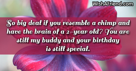 Humorous Birthday Sayings