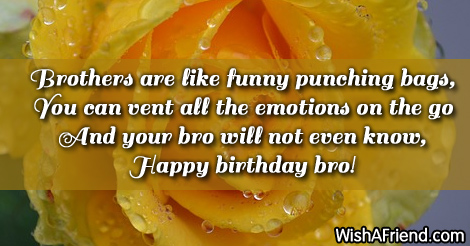 9951-brother-birthday-sayings
