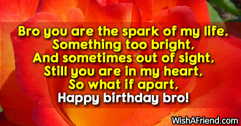 9963-brother-birthday-sayings