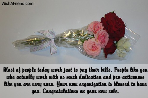 12140-congratulations-for-new-job