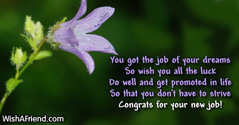 12151-congratulations-for-new-job