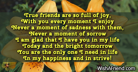 10679-friends-forever-poems