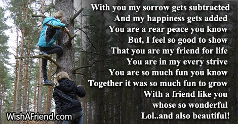 funny-friendship-poems-12633