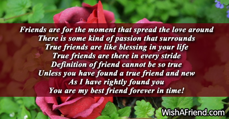 14249-friends-forever-poems