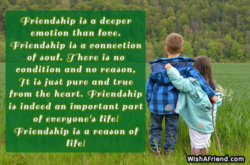 Friendship is a deeper emotion than, Best Friend Quote