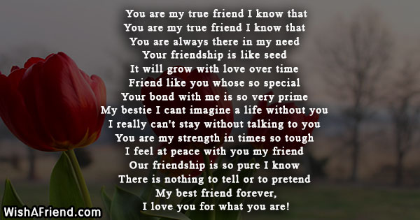 21253-true-friend-poems