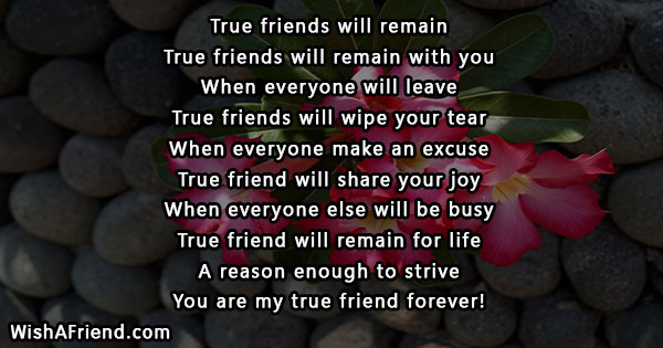 true-friends-short-poems-21576