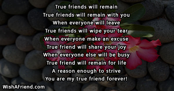 21576-true-friends-short-poems