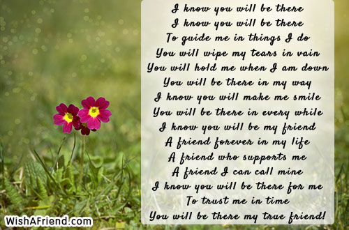 22224-friends-forever-poems