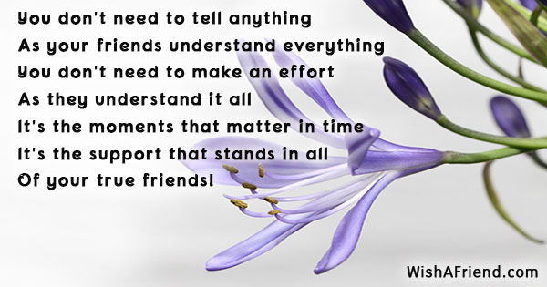 23767-best-friends-sayings