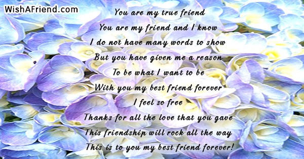 23776-true-friends-short-poems