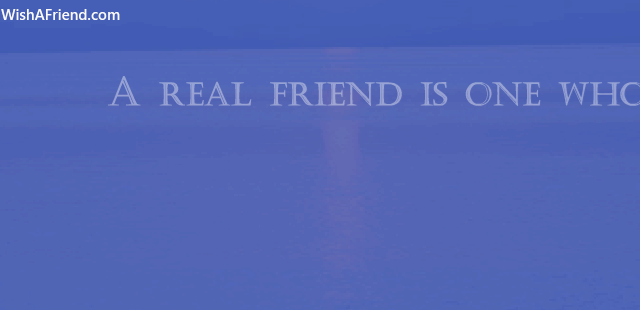 25712-friendship-quotes-gifs