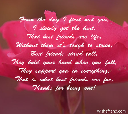 The day we met Poem For Best Friends