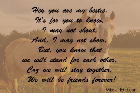 funny-friendship-poems-8329