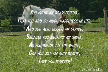 funny-friendship-poems-8330